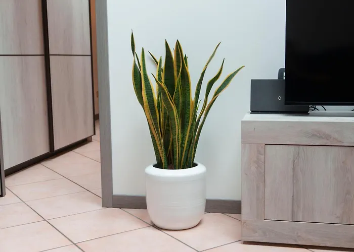 Lägenhet Gioia Verona